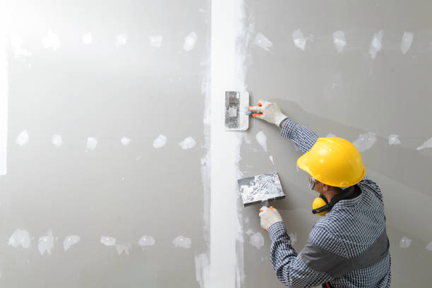 Best Black Mold Removal  in Seaside Park, NJ