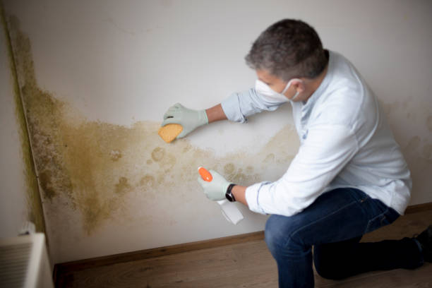 Best Mold Removal for HVAC Installations  in Seaside Park, NJ